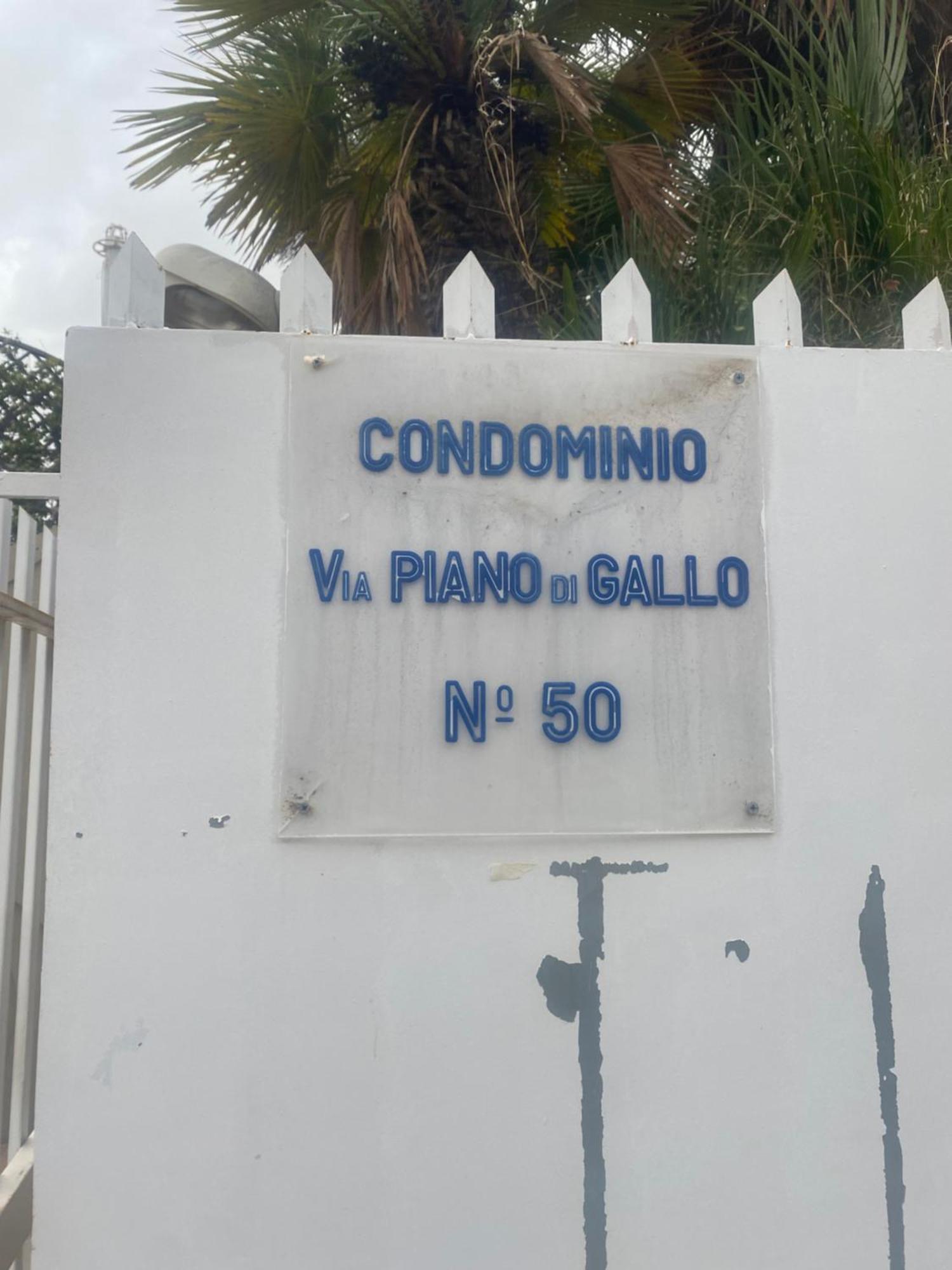 Reef Mondello